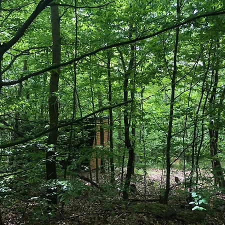 Pop Tiny House Matra Apartment *