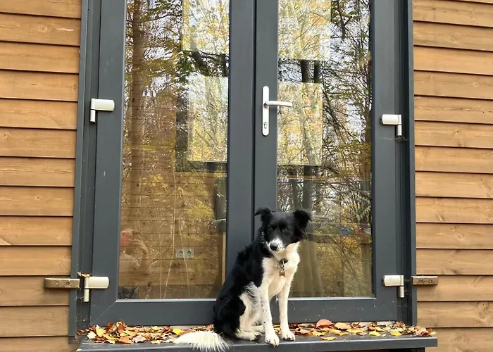 Apartament Pop Tiny House Matra *