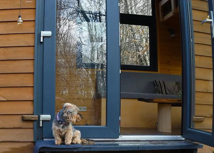 Pop Tiny House Mátra Apartman